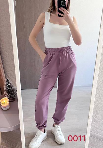 Штаны спорт FSN (44-50) 0011 powder (деми)