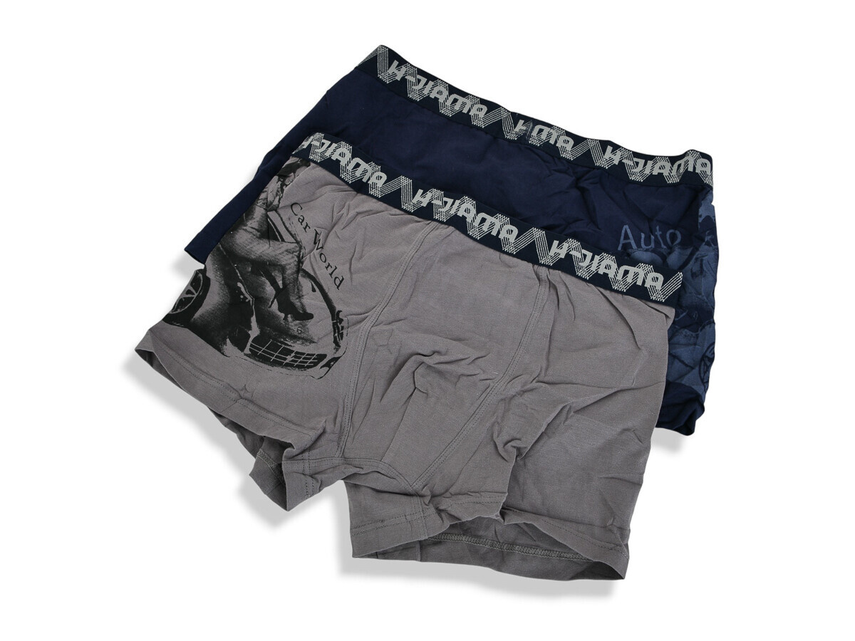 Трусы Textile (L-3XL) H6840 mix L-3XL (деми)