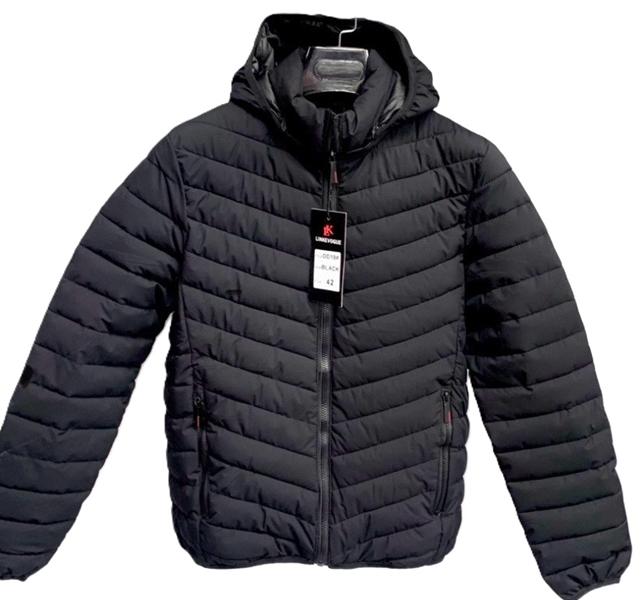 Куртка Lina (38-46) DD19 black (деми)