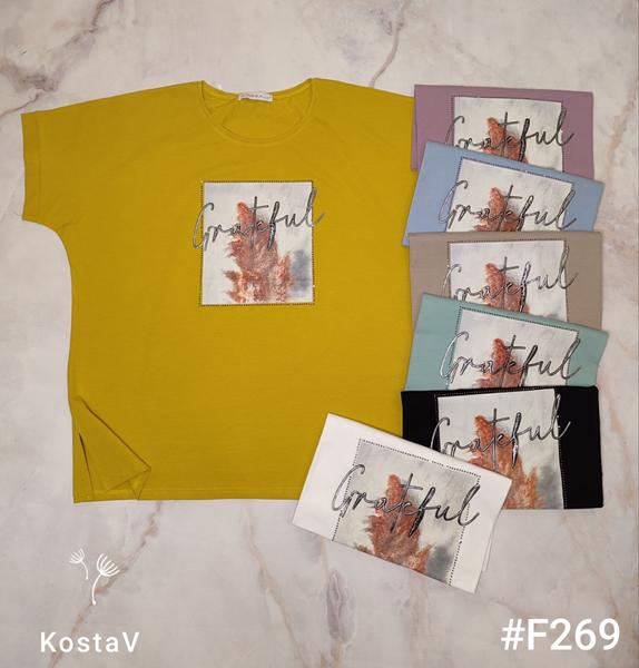 Футболка Kosta (54-60) F269 mix (лето)