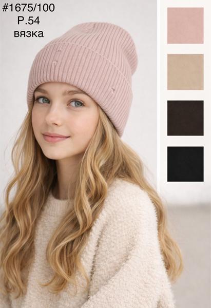 Шапка DGMD (54) 1675-100 mix (деми)