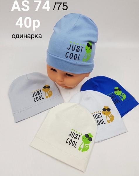 Шапка DGMD (40) AS74-75 mix (деми)