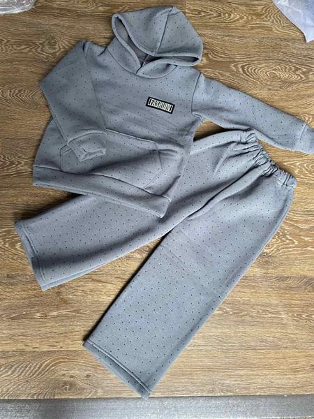Костюм спорт Proschenko (4-7) PR673 grey (деми)
