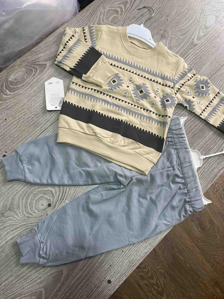 Костюм спорт Proschenko (2-5) PR719 grey (деми)