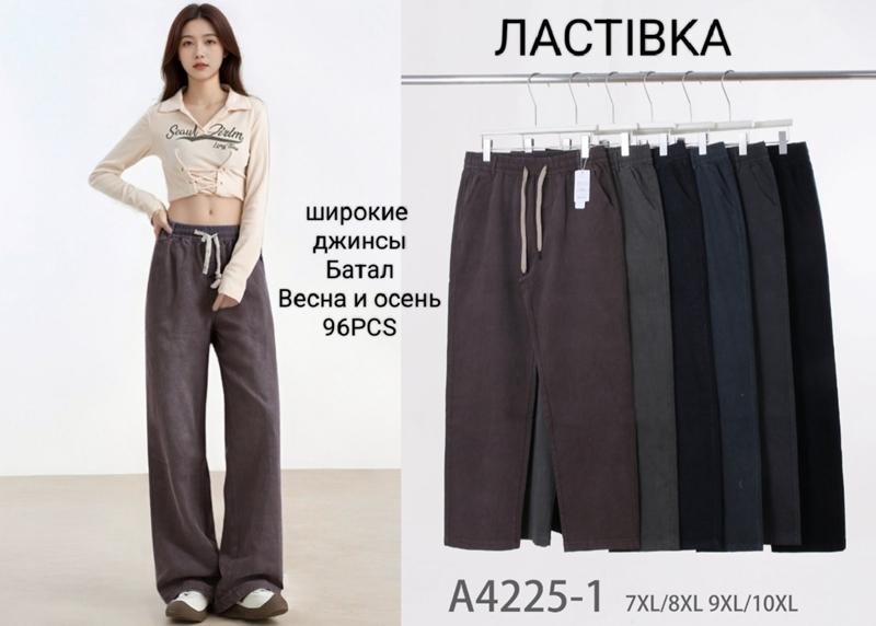 Штаны Giang (7XL-10XL) 4225-1 mix (деми)