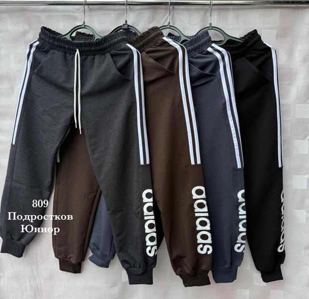 Штаны спорт Shon (36-44) S2601 brown (деми)