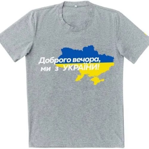 Футболка ALIA (48-56) 170134 grey (деми) ALIA 170134 grey