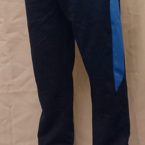 Штаны спорт Red Hat clothes (S-2XL) 1569 navy (деми) Red Hat clothes 1569 navy