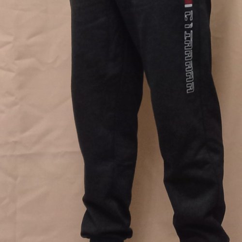 Штаны спорт Red Hat clothes (S-2XL) 1880 d.grey (деми) Red Hat clothes 1880 d.grey