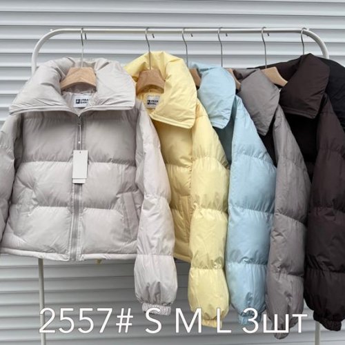 Куртка Style Nadezhda (S-L) 2557 l.grey (деми) Style Nadezhda 2557 l.grey