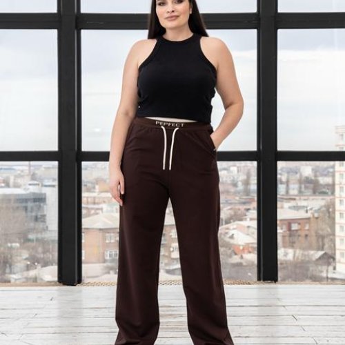 Штаны спорт AZNA (L-3XL) Б1152 brown (деми) AZNA Б1152 brown