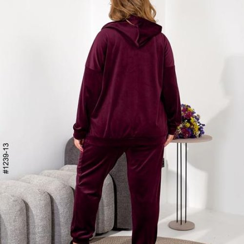 Костюм спорт OdesaOpt (54-58) 1239-13 wine (деми) OdesaOpt 1239-13 wine