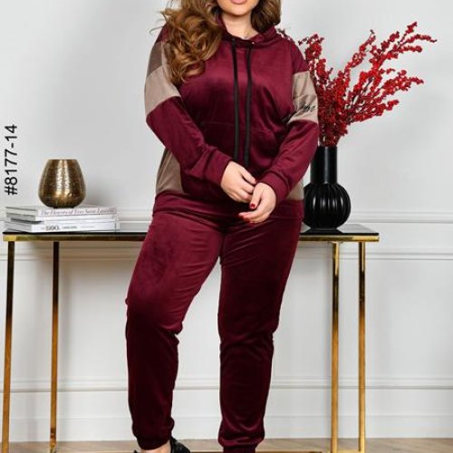 Костюм спорт OdesaOpt (54-60) 8177-14 wine (деми) OdesaOpt 8177-14 wine