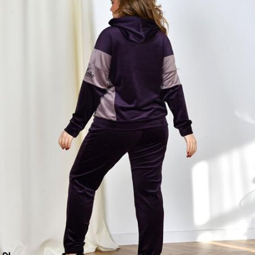 Костюм спорт OdesaOpt (54-60) 8177-12 purple (деми) OdesaOpt 8177-12 purple