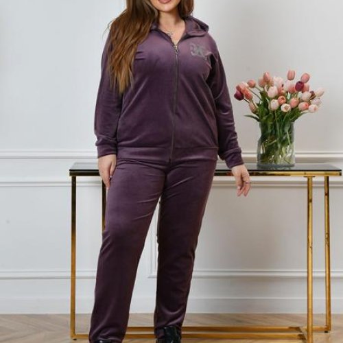 Костюм спорт OdesaOpt (54-58) 3620-21 purple (деми) OdesaOpt 3620-21 purple