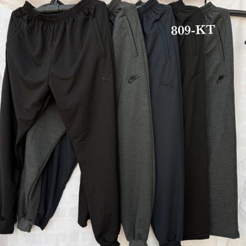 Штаны спорт Shon (46-54) 809KT-1 grey (46-54) (деми) Shon 809KT-1 grey (46-54)