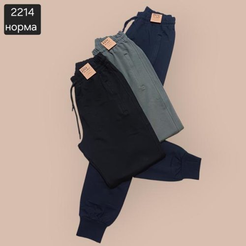 Штаны спорт Moranny (S-2XL) 2214 black (деми) Moranny 2214 black