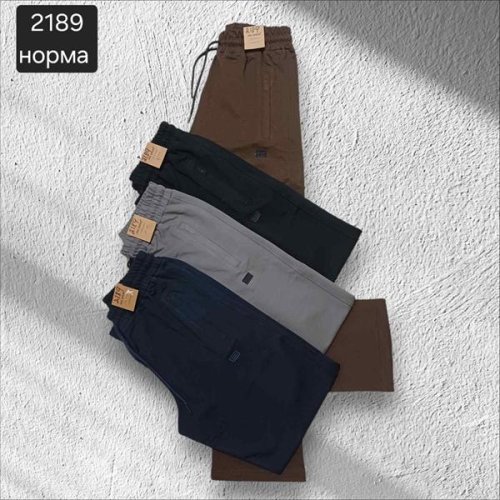 Штаны спорт Moranny (S-2XL) 2189 grey (деми) Moranny 2189 grey