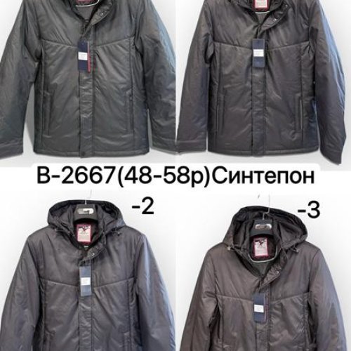 Куртка LiOpt (48-58) B2667-1 black (деми) LiOpt B2667-1 black
