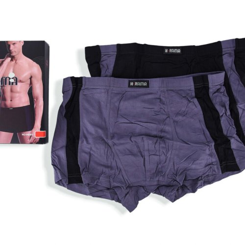 Трусы Textile (L-3XL) H6880 mix L-3XL (деми) Textile H6880 mix L-3XL