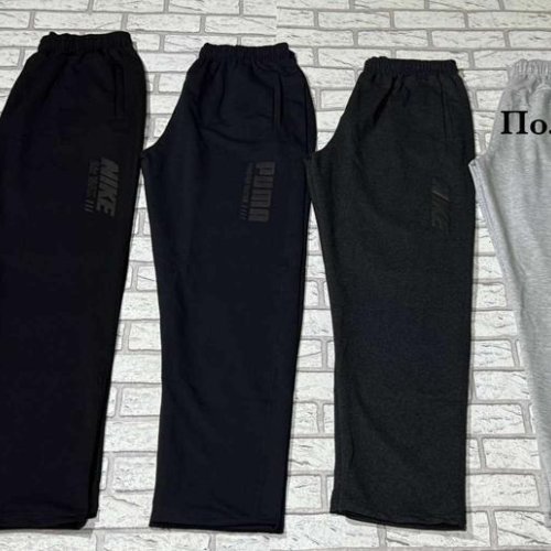 Штаны спорт Shon (50-58) S2479 navy (деми) Shon S2479 navy