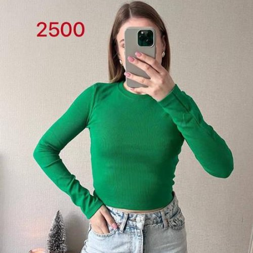 Топ FSN (42-46) 2500 green (деми) FSN 2500 green