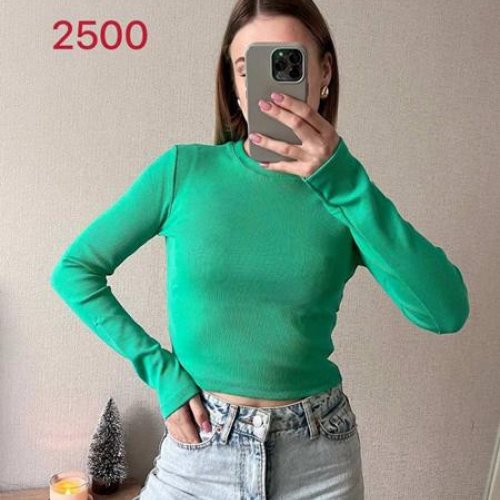 Топ FSN (42-46) 2500 l.green (деми) FSN 2500 l.green