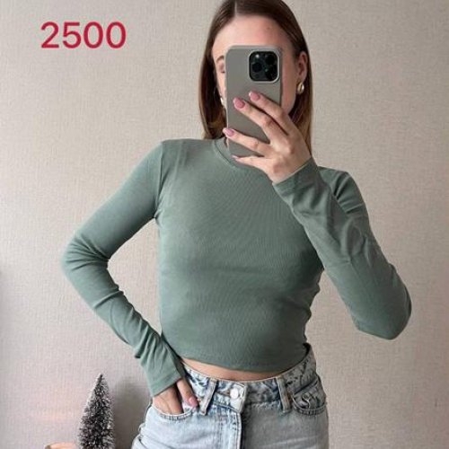 Топ FSN (42-46) 2500 mint (деми) FSN 2500 mint