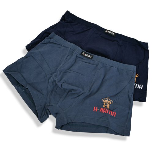 Трусы Textile (L-3XL) H6810 mix L-3XL (деми) Textile H6810 mix L-3XL