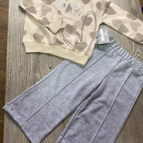 Костюм спорт Proschenko (2-5) PR698 beige (деми) Proschenko PR698 beige