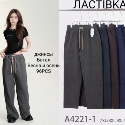 Штаны Giang (7XL-10XL) 4221-1 mix (деми) Giang 4221-1 mix