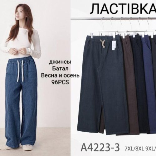 Штаны Giang (7XL-10XL) 4223-2 mix (деми) Giang 4223-2 mix