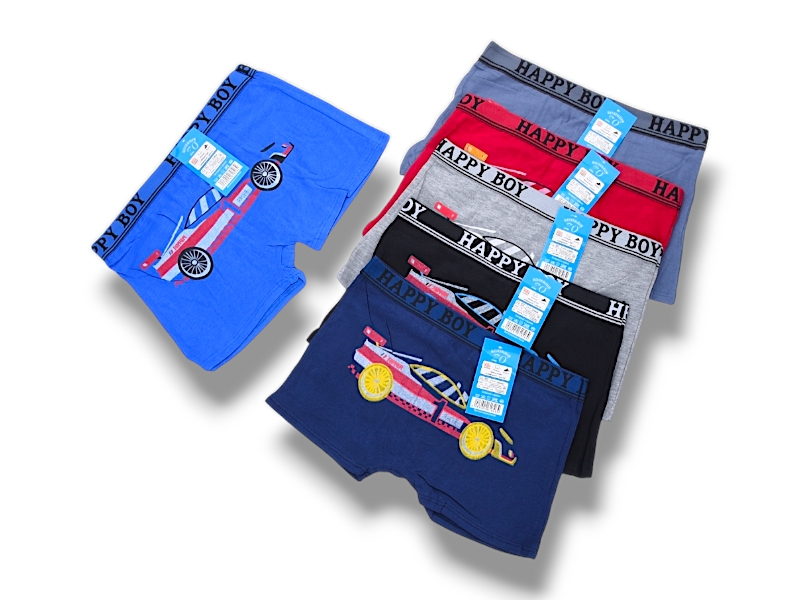 Трусы Jelzin (L) Z30046 mix (L) (деми)