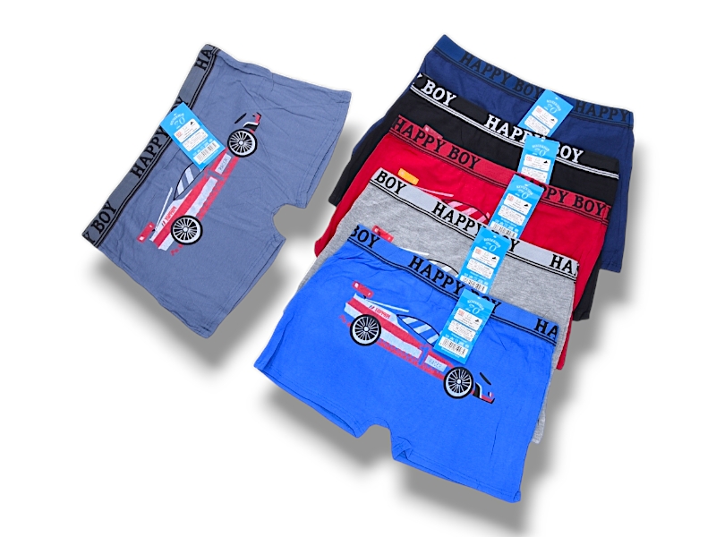 Трусы Jelzin (XL) Z30046 mix (XL) (деми)