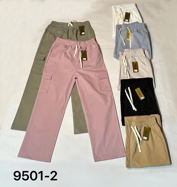 Штаны спорт Hoan (42-54) 9501-2 mix (деми)