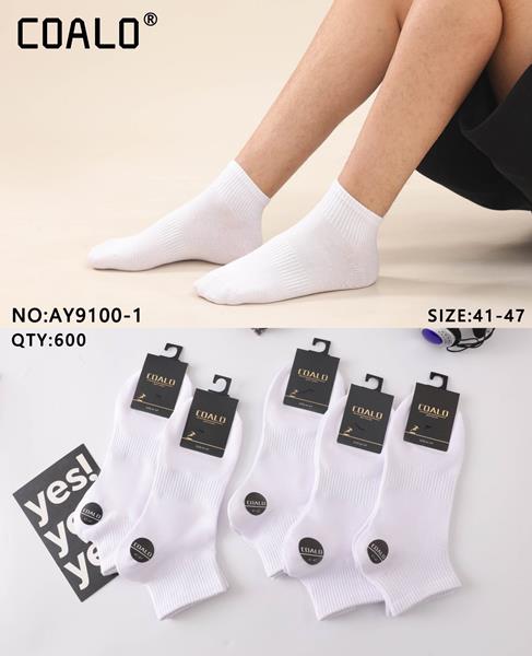 Носки Annet (41-47) HK-9100-1 white (деми)