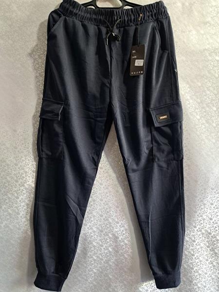 Штаны спорт Giang (M-3XL) 8118 navy (деми)