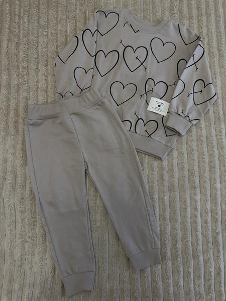 Костюм спорт Baby Boom (2-5) 1009 grey (деми)