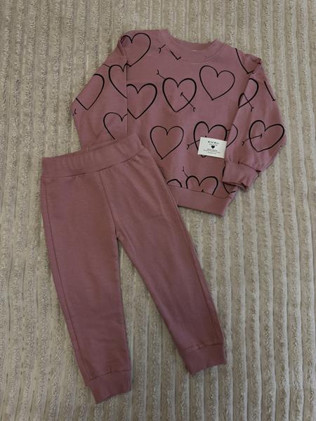 Костюм спорт Baby Boom (2-5) 1010 powder (деми)