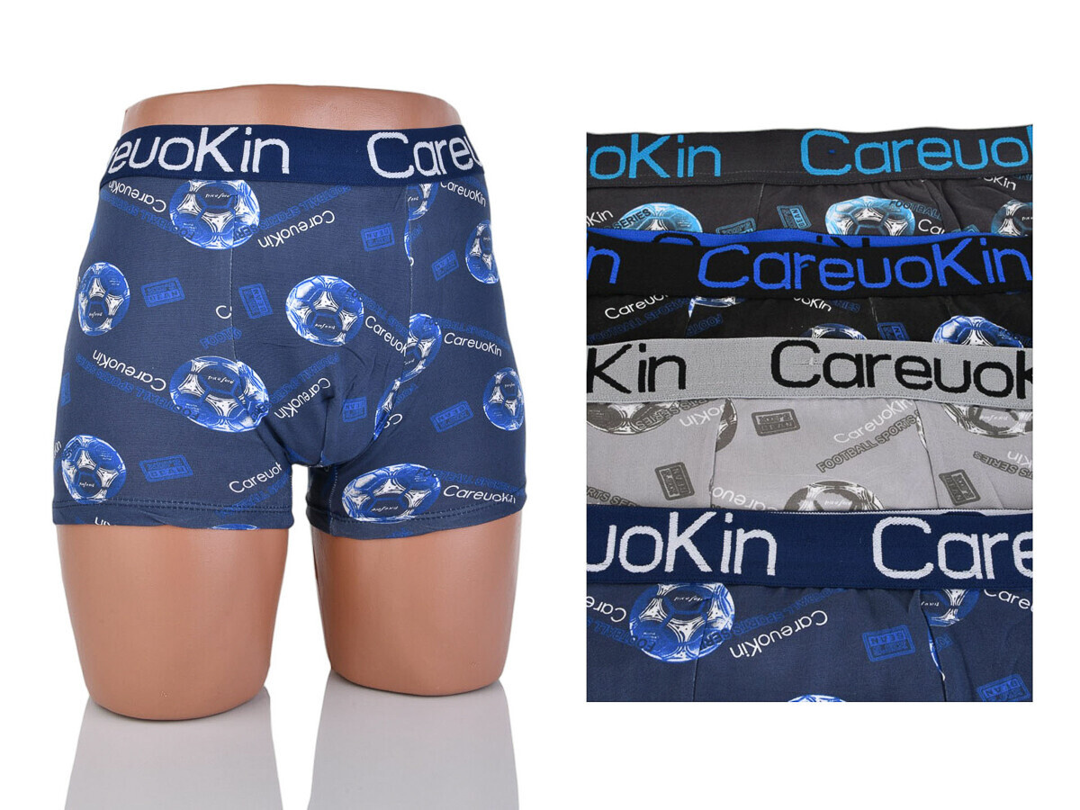 Трусы Textile (XL-3XL) A4950 mix (деми)