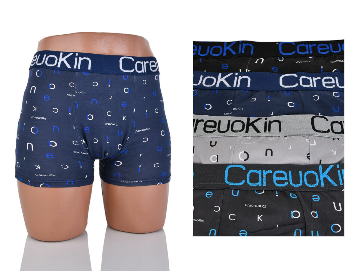 Трусы Textile (XL-3XL) A5559 mix (деми)