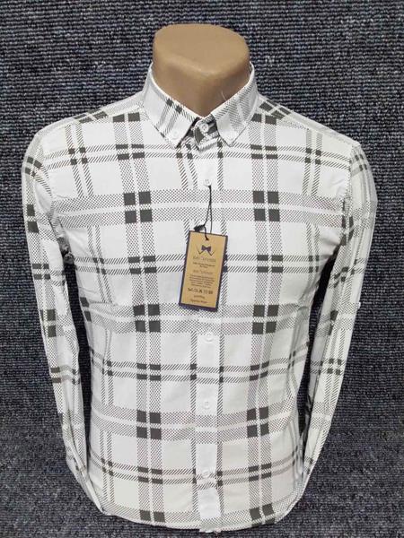 Рубашка Mary Poppins (3XL-5XL) 4470 white (деми)