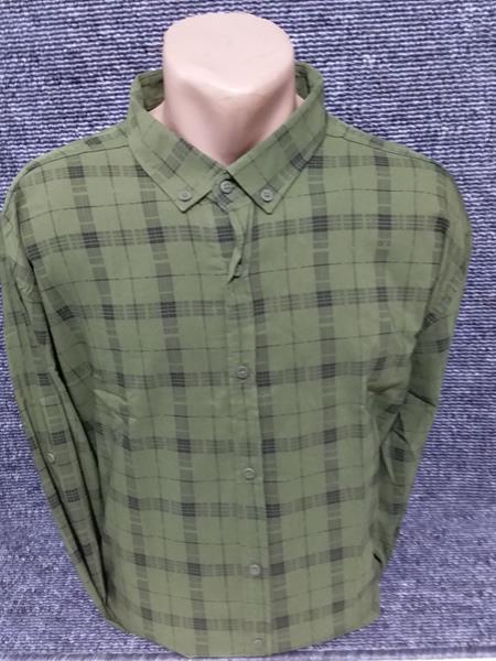 Рубашка Mary Poppins (2XL-6XL) 4472 khaki (деми)