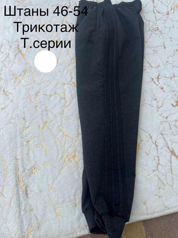 Штаны спорт Lina (46-54) L101 d.grey (деми)