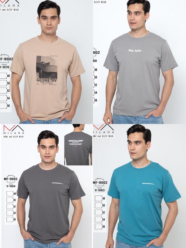 Футболка Imlion (48-58) 9002 l.blue (лето)