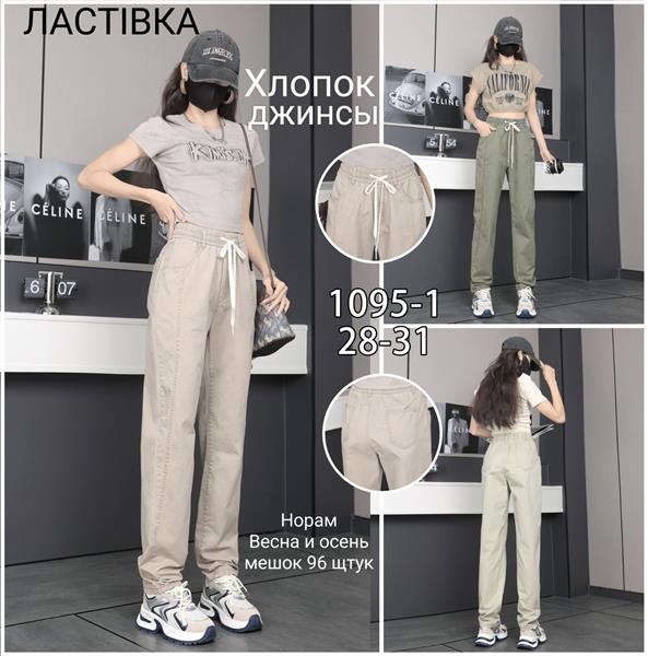 Джинсы Hoan (28-31) 1095-1 mix (деми)