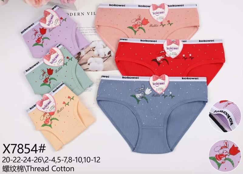 Трусы Redoor (2-12) X7854 mix (деми)