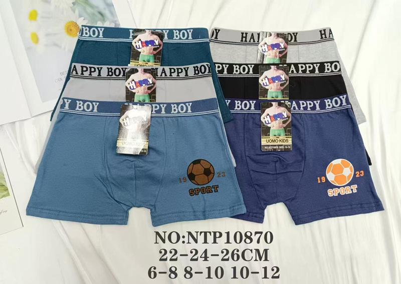 Трусы Redoor (6-12) 10870 mix (деми)