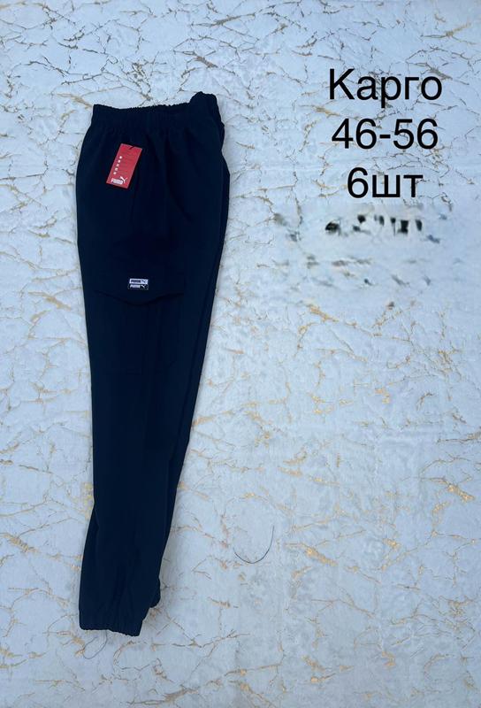 Штаны спорт Lina (46-56) L106 black (деми)