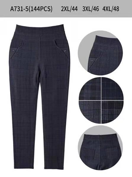 Штаны АйМей (44-48) A731-5 mix (деми)